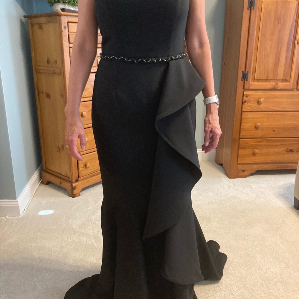 MOB or MOG dress. Never worn or altered. - Picture 4 of 9